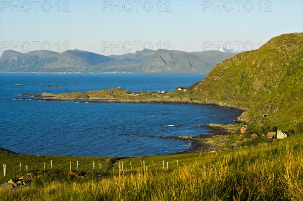 Coastline with coves