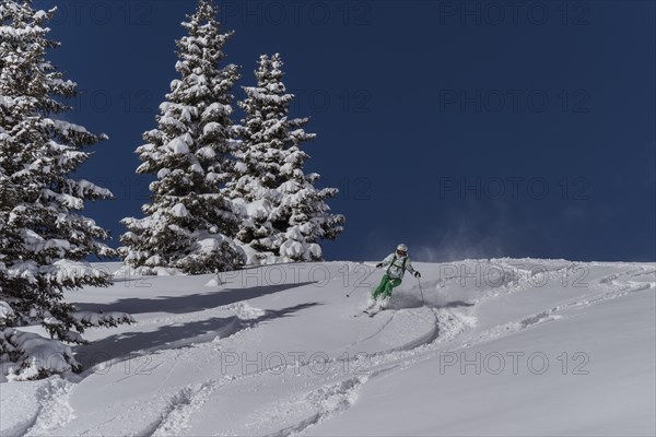 Skier in powder snow