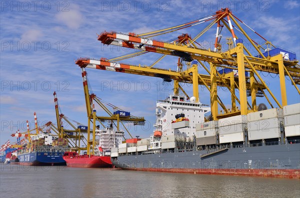 Container ships and gantry cranes