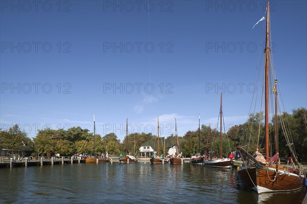 Zeesenboot boats in the harbor