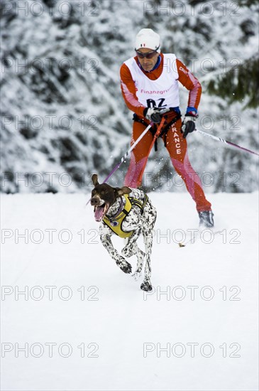 Man and dog skijoring