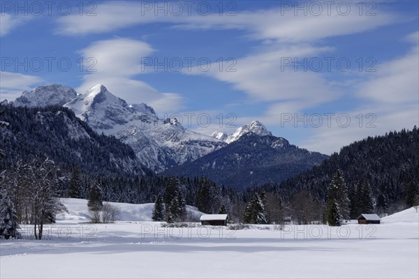 Winter landscape