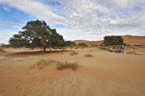 Landscape with Safari car on the dunes of the Sossusvlei