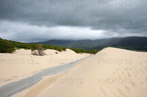 Wandering dune of Bolonia