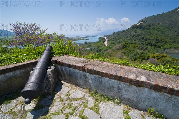 Cannon