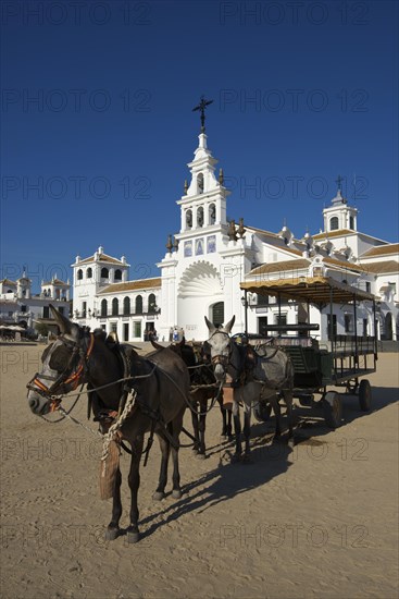 Coach at the square