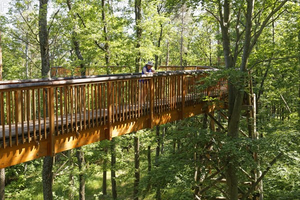 Althodis treetop walkway