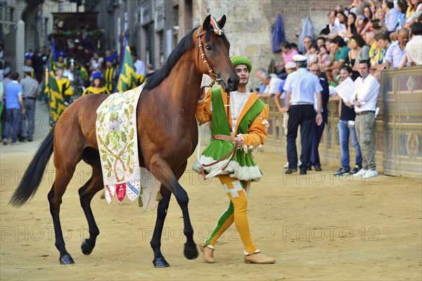 Horse and horse leader of the Contrada of the Forest