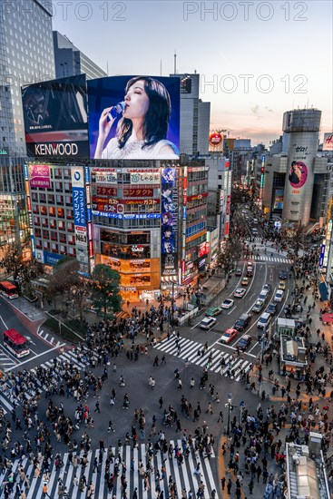 Shibuya Crossing from above