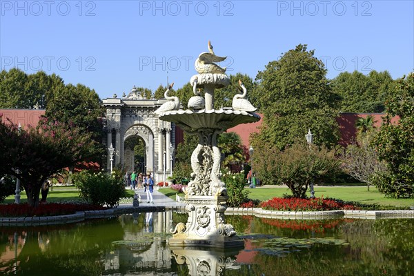 Swan Fountain