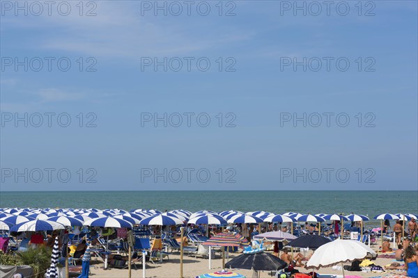 Bathers and parasols on the beach
