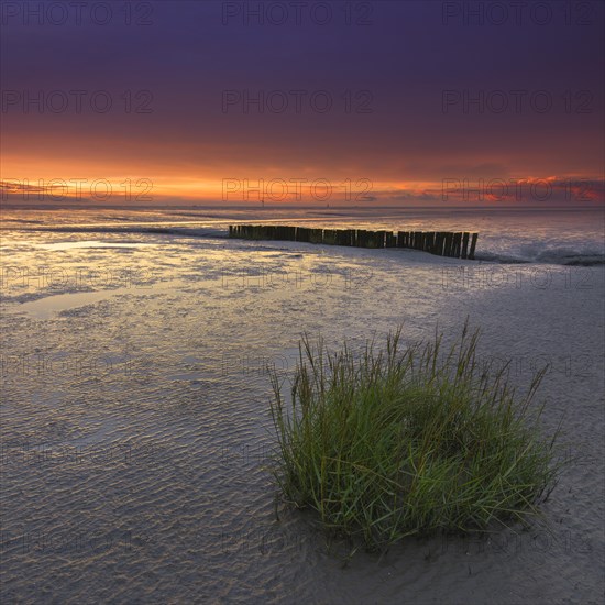 The Wadden and behind the remains of a jetty