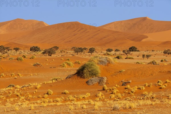 Sand dunes