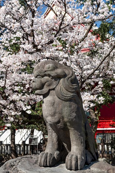 Lion statue