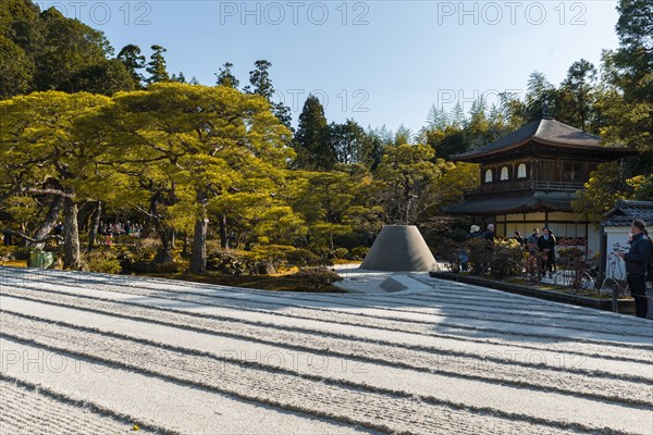 Rock garden