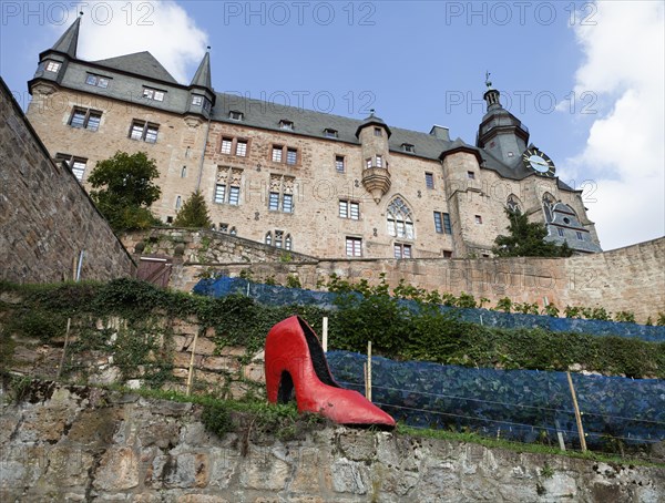 Cinderella's slipper