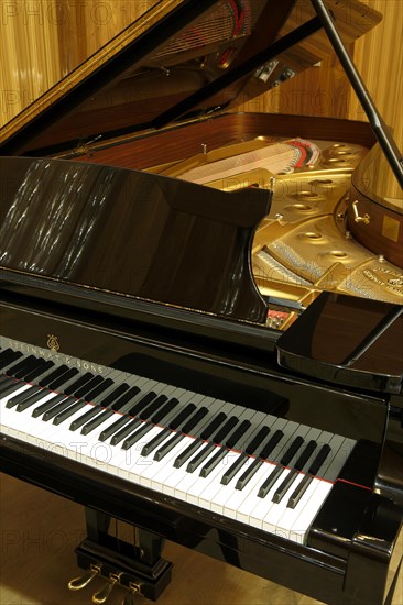Steinway & Sons grand piano