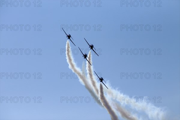 The Canadian Forces Snowbirds aerobatic team air show