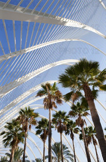 L'Umbracle Palm Garden