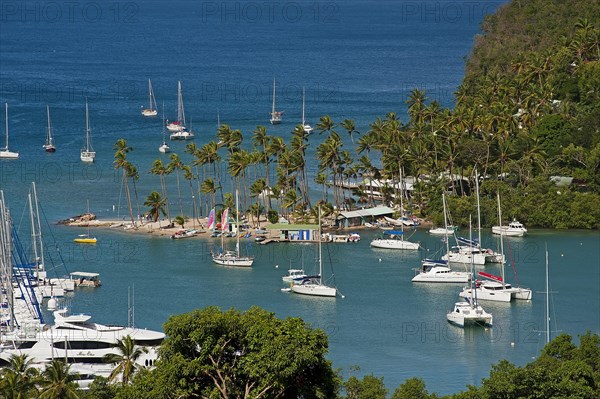 Boats in the harbour