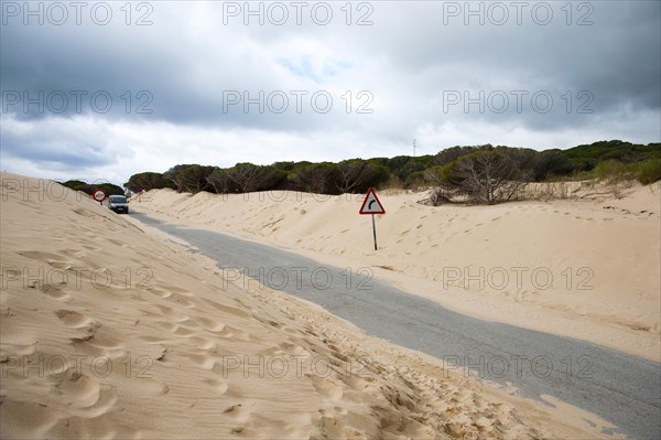 Wandering dune of Bolonia