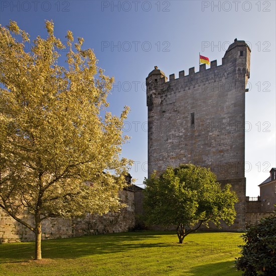 Bentheim Castle