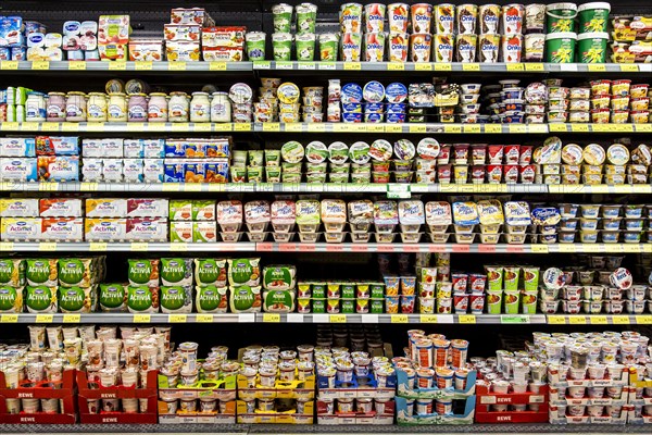 Shelf with various dairy products