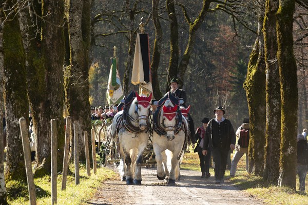 Carriage at Leonhardi ride in Kreuth