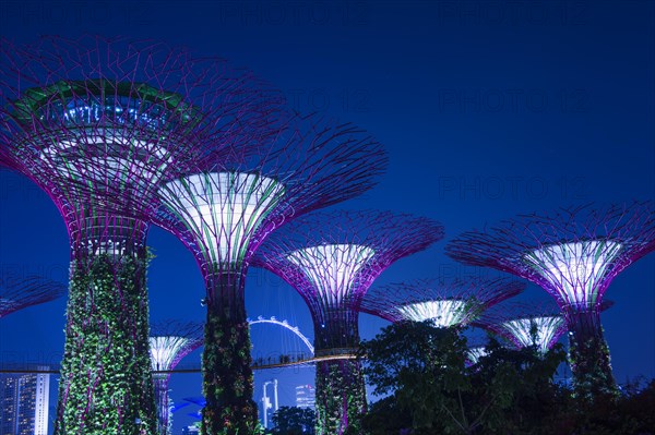 Supertrees
