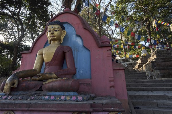 Climb to the Swayambhunath Stupa