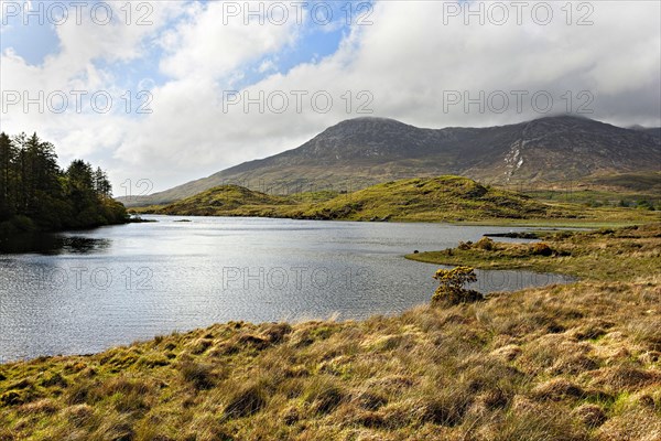 Lake or Lough