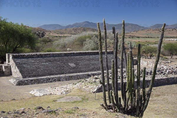 The ball court at the Dainzu archeological site