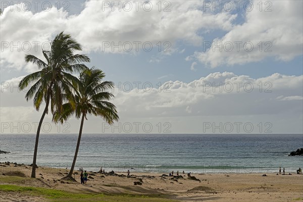 Beach of Anakena