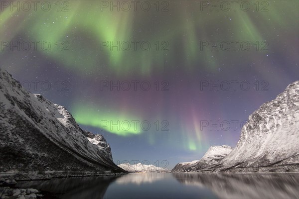 Aurora over the Grotfjord