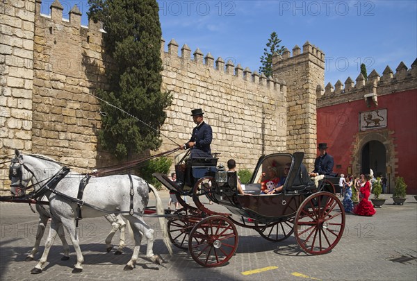 Carriage at the Plaza del Triunfo