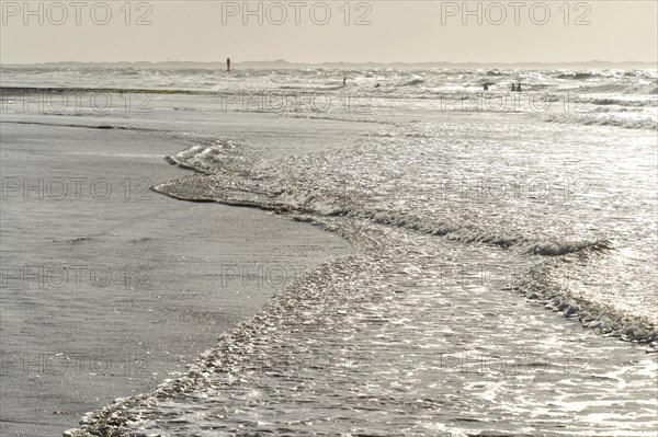 Sparkling water on the wet sand