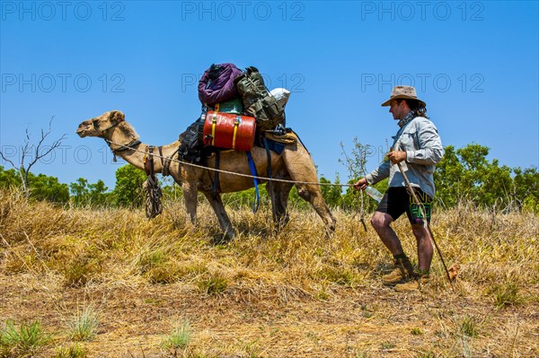 Walker with his camel crossing the outback