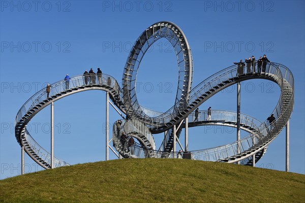 Landmark Tiger & Turtle - Magic Mountain