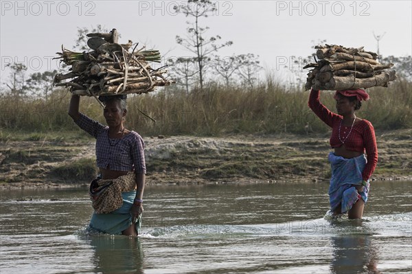 Nepalese women carry firewood on their heads by the East Rapti River at Sauraha