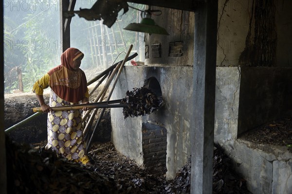 Dry leaves as fuel