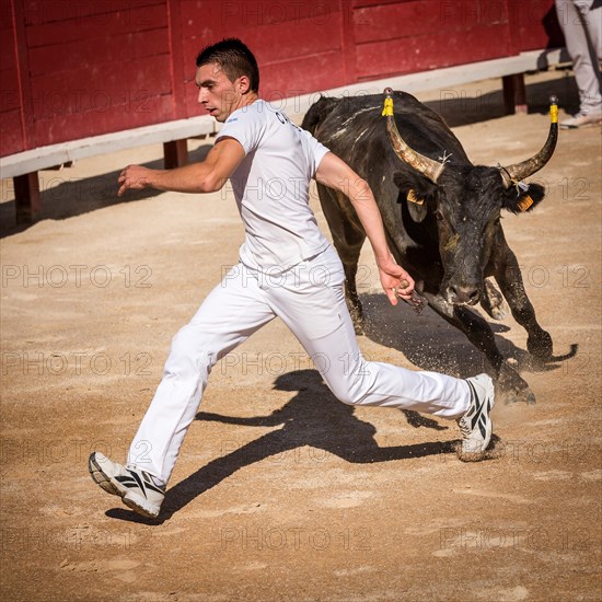 A bullfighter tries to escape a chasing bull