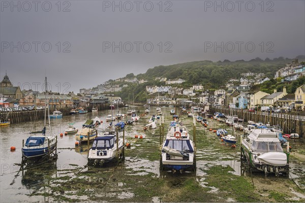 Fishing boats in the harbor at low tide