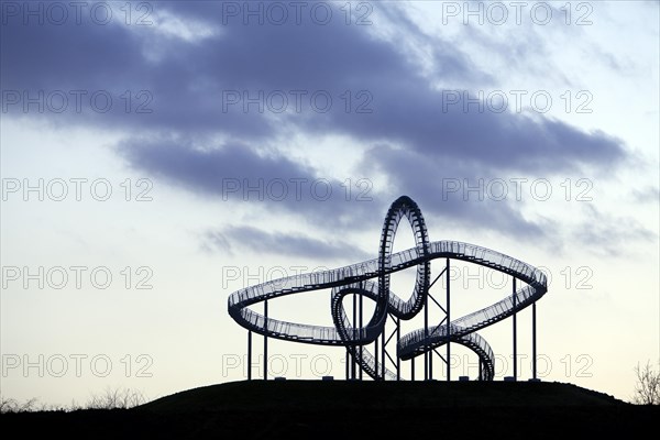 Landmark Tiger & Turtle - Magic Mountain