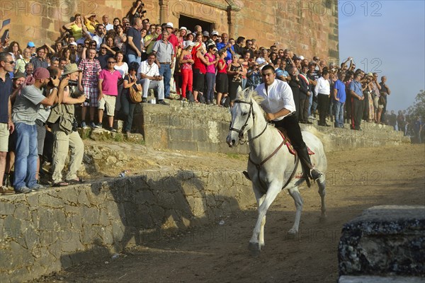 The Ardia