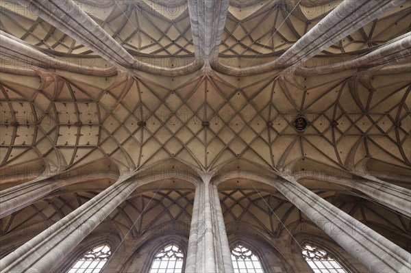 Vaulted ceiling