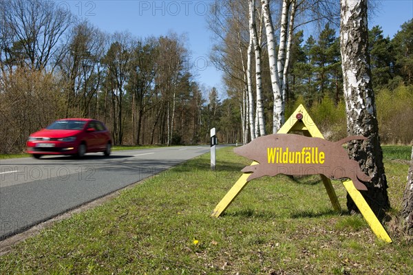 Sign with the German word ""Wildunfalle"" with a passing car