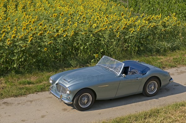 Austin-Healey 3000