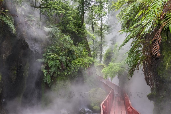 Steaming hot springs in the gorge of the Termas Geometricas