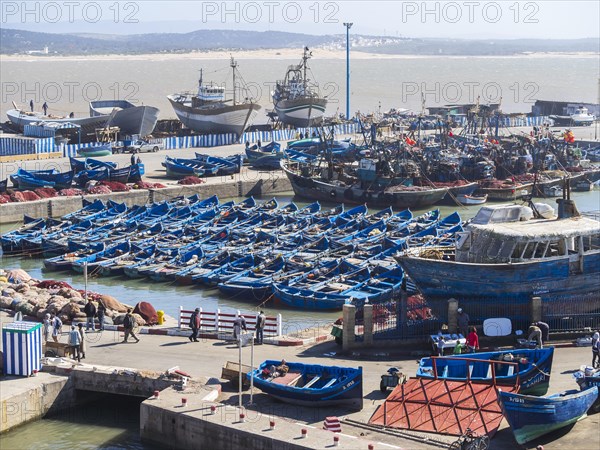 Fishing boats in the port of Essaouira