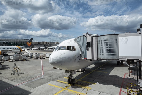 Condor Boeing 767-300 with passenger bridge